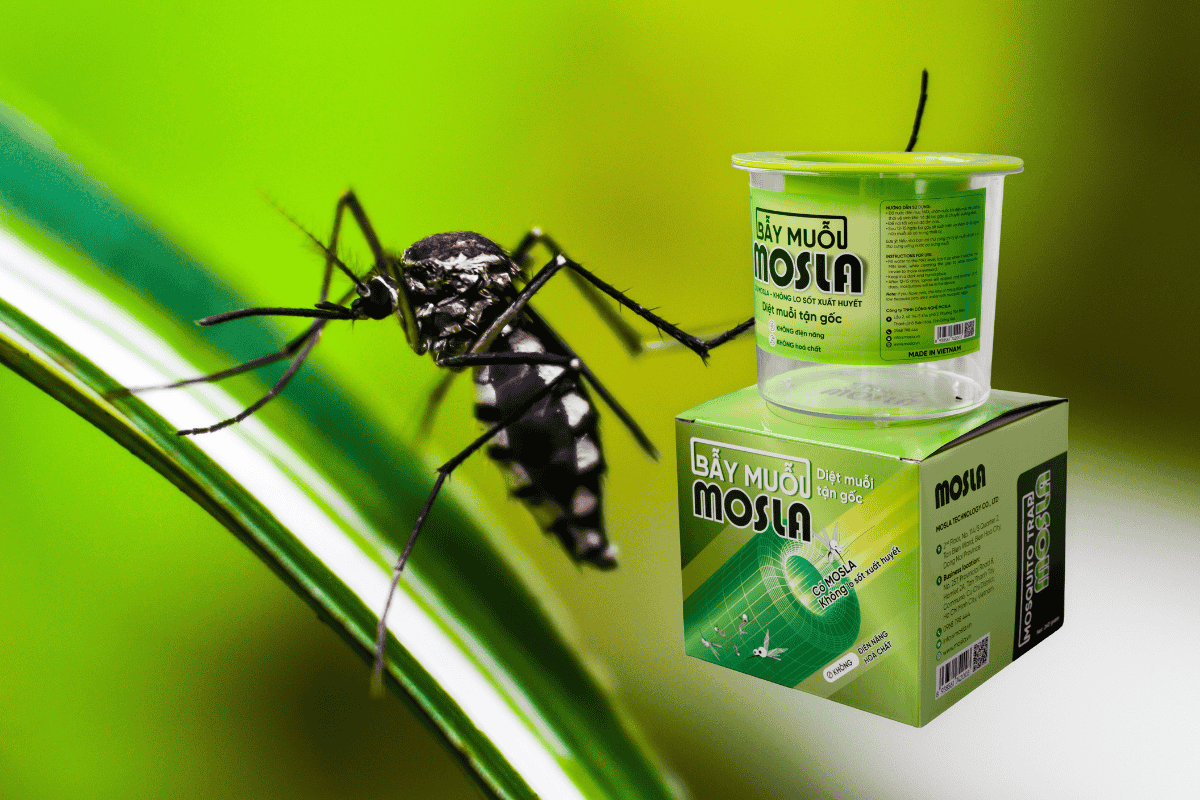 Dada Mosla Top 5 cách diệt muỗi hiệu quả hiện nay – đâu mới là giải pháp an toàn ...