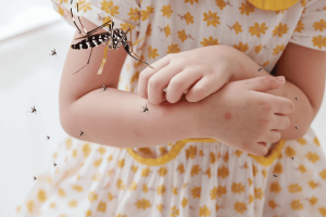 Bị muỗi vằn đốt bao lâu thì sốt