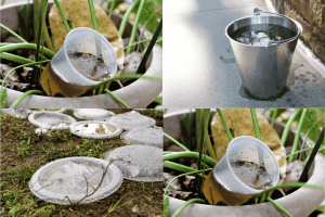 Muỗi đẻ trứng ở đâu