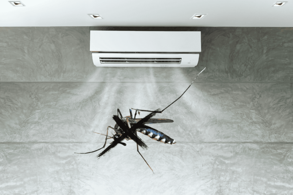 Tại sao phòng máy lạnh không có muỗi