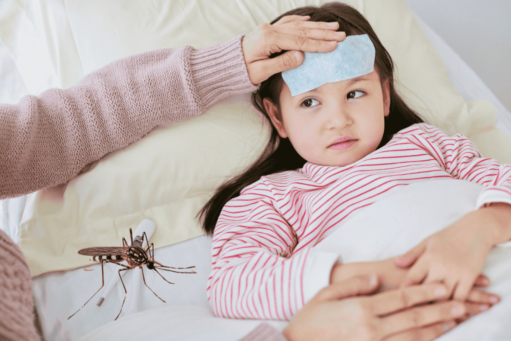 Sốt xuất huyết là bệnh truyền nhiễm nguy hiểm do muỗi Aedes Aegypti gây ra