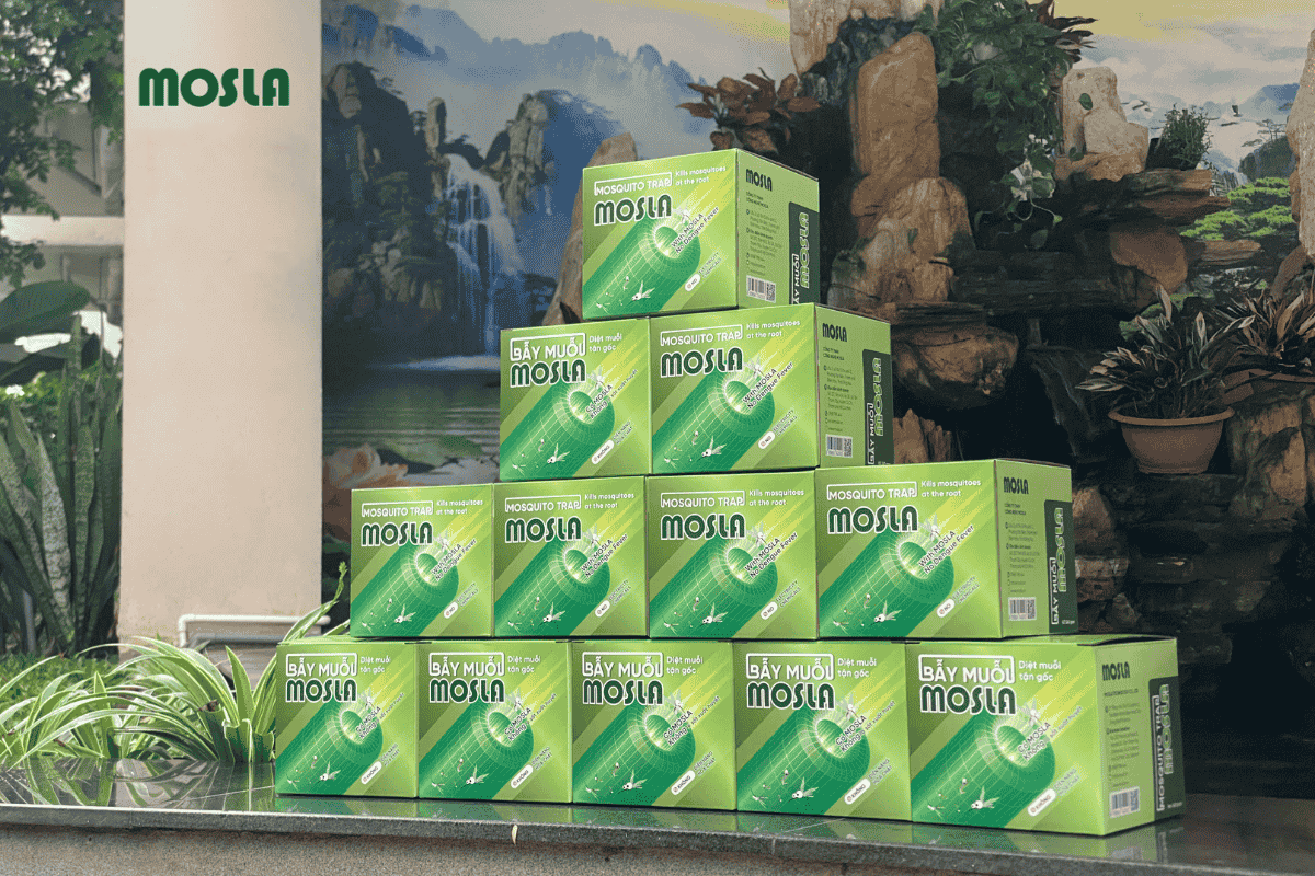 Combo bẫy muỗi MOSLA mua 10 tặng 2