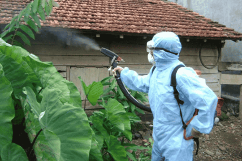 Cách chữa bệnh sốt rét rừng