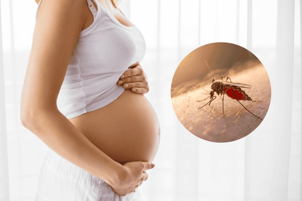 Diệt muỗi cho phụ nữ mang thai