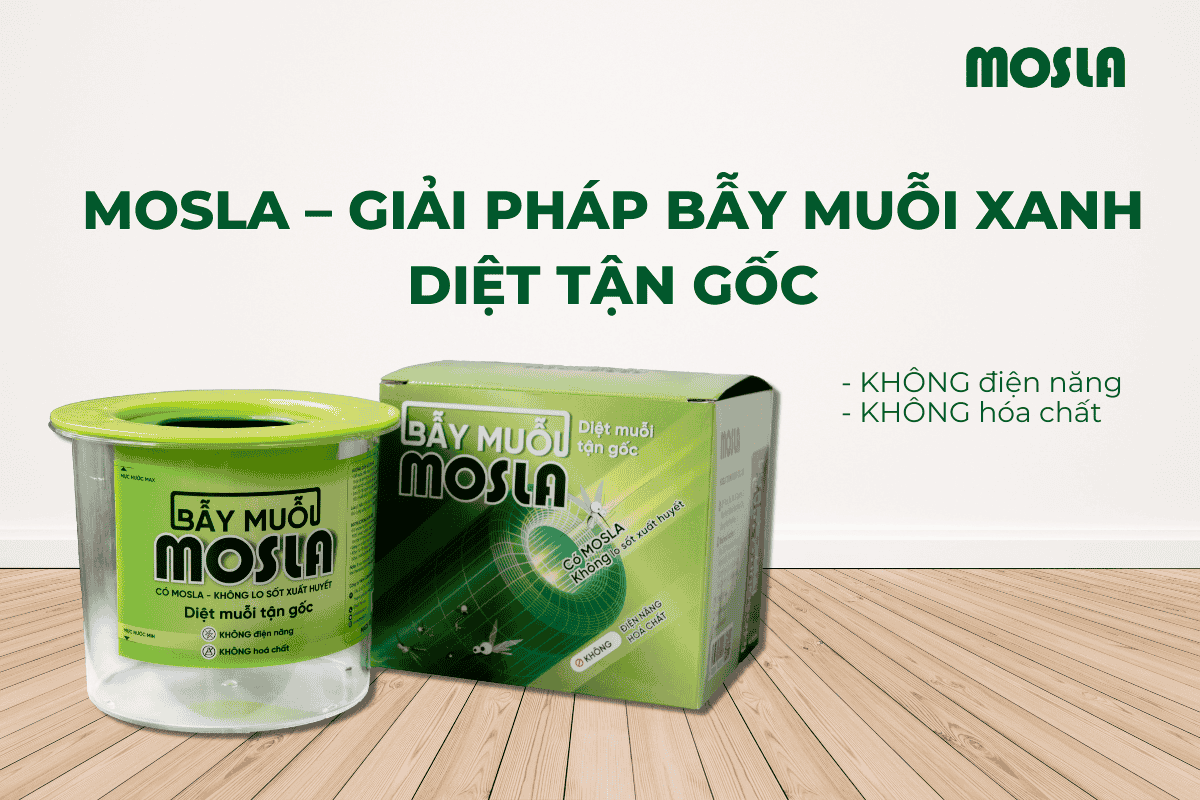Dada Mosla 5 cách diệt muỗi sân vườn giúp nhà vườn sạch bóng - Mosla