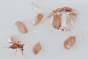 Đuổi muỗi bằng tỏi
