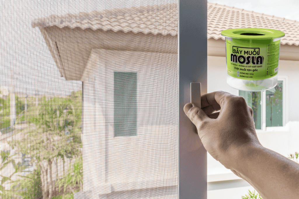 Sự kết hợp giữa cửa lưới chống muỗi và giải pháp diệt muỗi sinh học