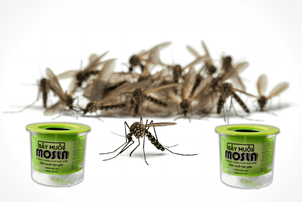 Giải pháp kiểm soát muỗi bền vững với Mosla