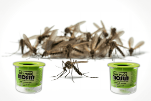 Giải pháp kiểm soát muỗi bền vững với Mosla