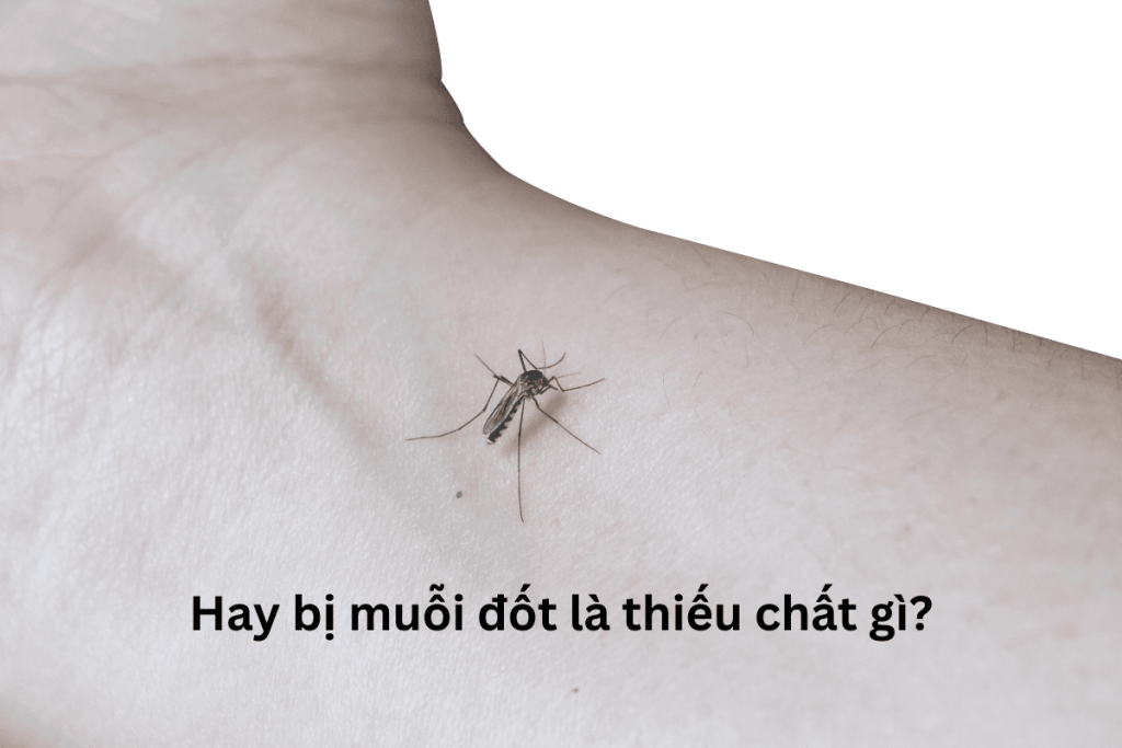 Hay bị muỗi đốt là thiếu chất gì