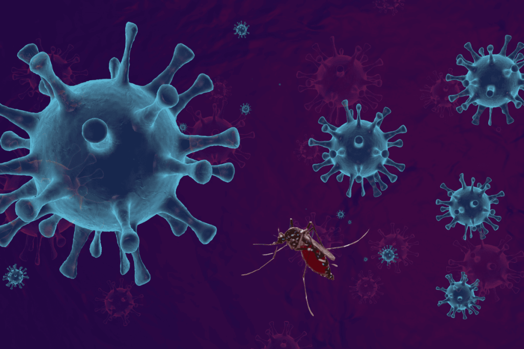 Muỗi truyền được những bệnh nào