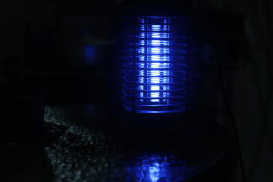 dụng cụ bắt muỗi