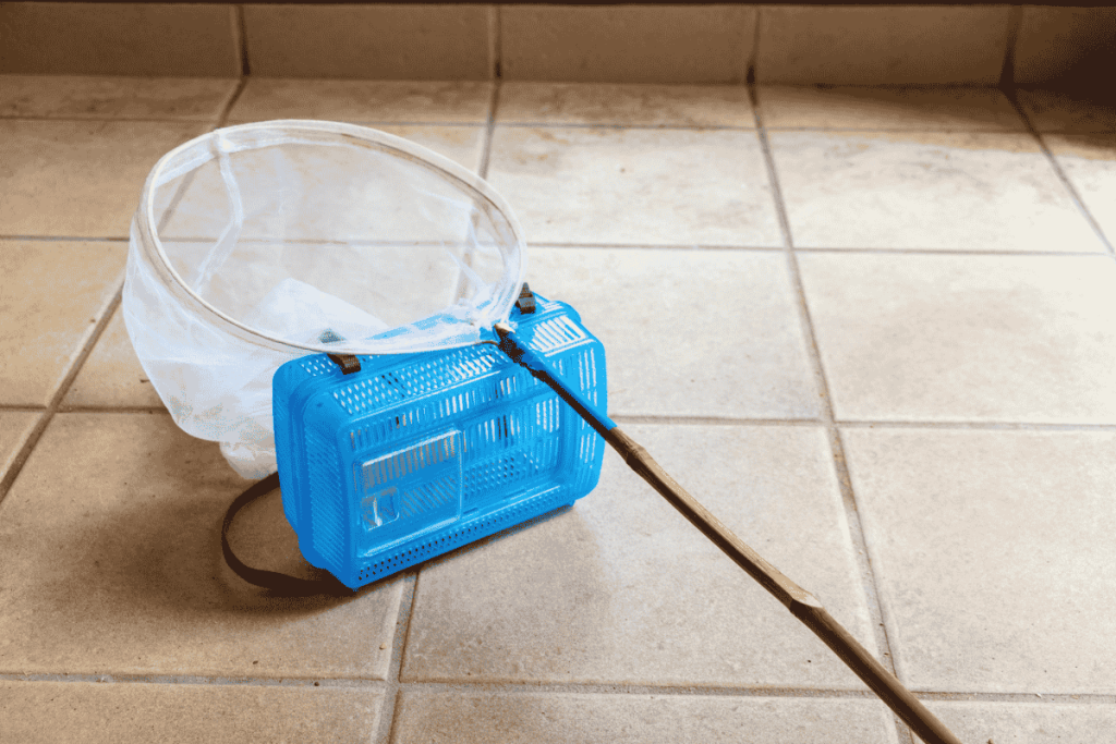 mẹo tự làm dụng cụ bắt muỗi tại nhà có hiệu quả không