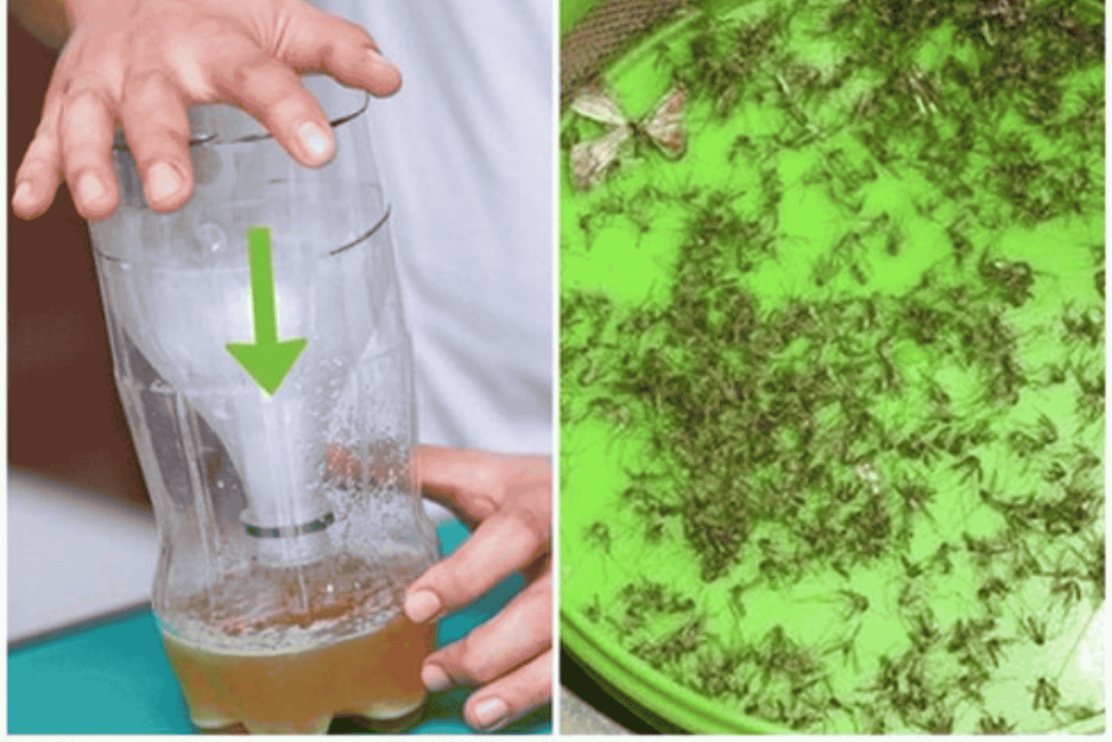 tự làm dụng cụ bắt muỗi tại nhà bằng mẹo thủ công